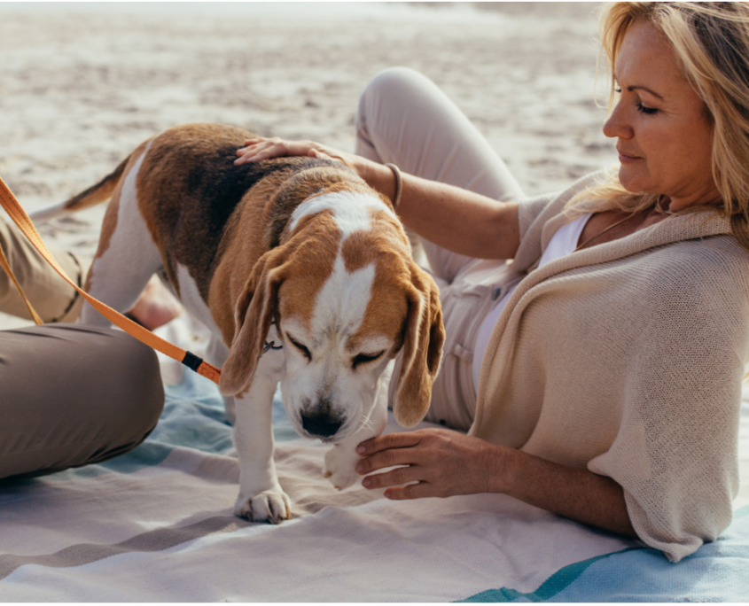 AdinaLifestyleBurleighHeadsBeach AdinaLifestyleBurleighHeadsBeach